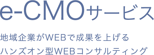 e-CMOサービス 地域企業がWEBで成果を上げるハンズオン型WEBコンサルティング